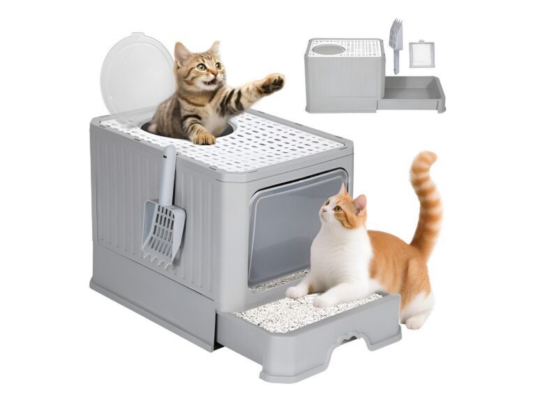Arenero Gato Cerrado Baño Sanitario Con Tapa Y Pala Grande Gris
