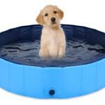 Piscina Plegable Redonda para Perros y Mascotas 80x20 cm