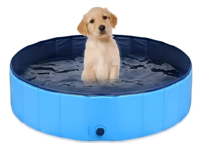Piscina Plegable Redonda para Perros y Mascotas 80x20 cm