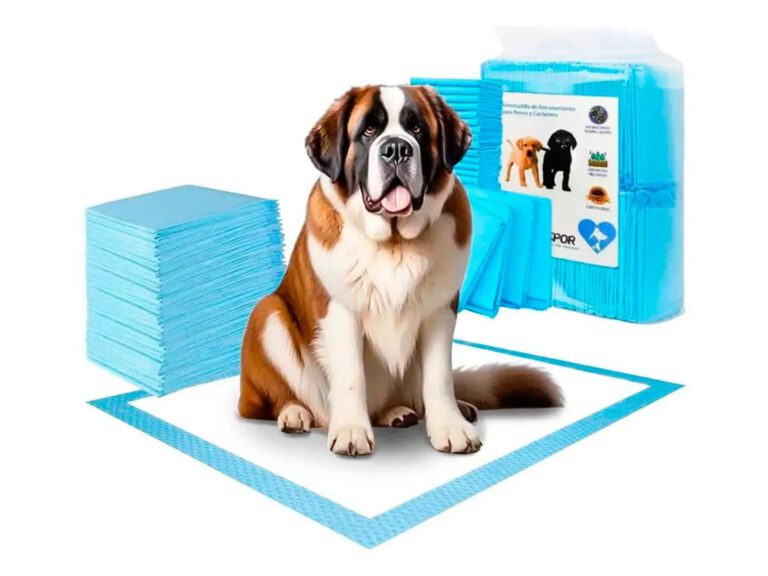 100 Pañales Sabanillas Mascotas Perros y Gatos 90x60cm Aspor 5 Capas absorción ultra Mejorada