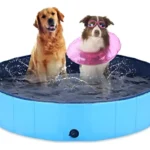 Piscinas De Mascotas Grandes 160x30 Ducha De Perros Xxl