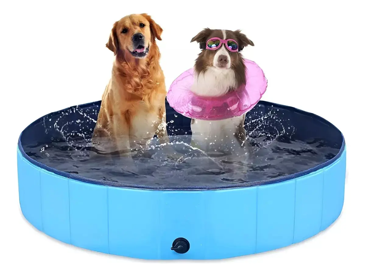 Piscinas De Mascotas Grandes 160x30 Ducha De Perros Xxl Piscinas De Mascotas Grandes 160x30 Ducha De Perros Xxl